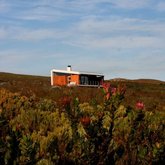 Nested in the Fynbos